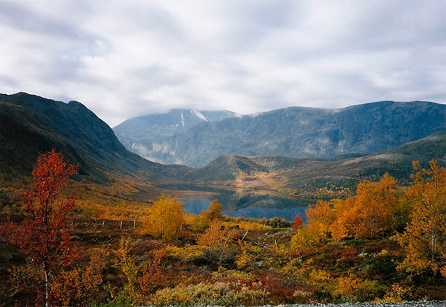 fjellet-brinnar_2004