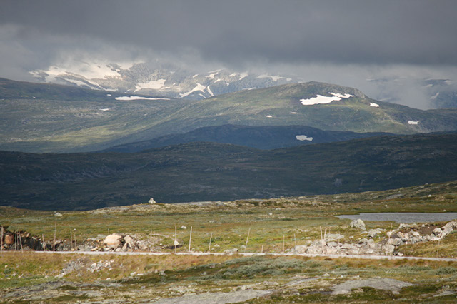 pa_hardangervidda_MG_2618