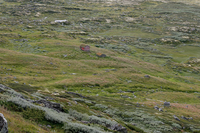 hardangervidda_MG_2668