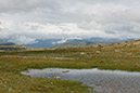 hardangervidda_MG_2704