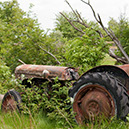 traktor_MG_6929